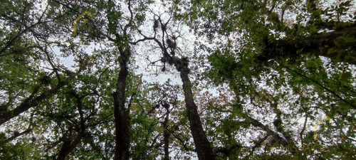Terreno Enventa En Piedra De Agua En Jilotepec Veracruz