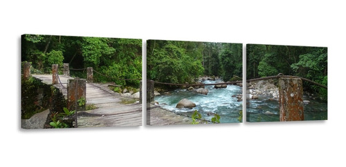 Cuadro Puente Cobre Calderas Barinas Multipanel Foto Canvas