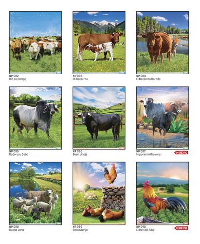 100 Calendario Len Varilla Mediano Np Imagen +santoral Anli