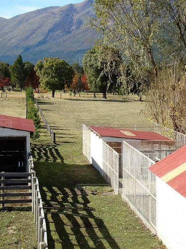 Terreno Fraccion En Venta Ubicado En Villa Lago Mascardi, Bariloche