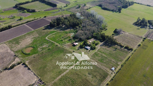 Campo En Zona De Playas Del Este De Colonia