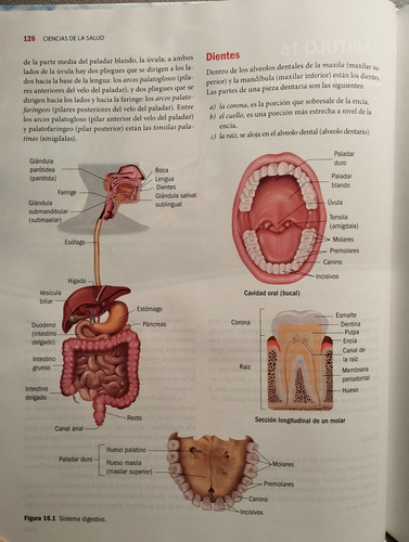 Ciencias De La Salud (Usado)