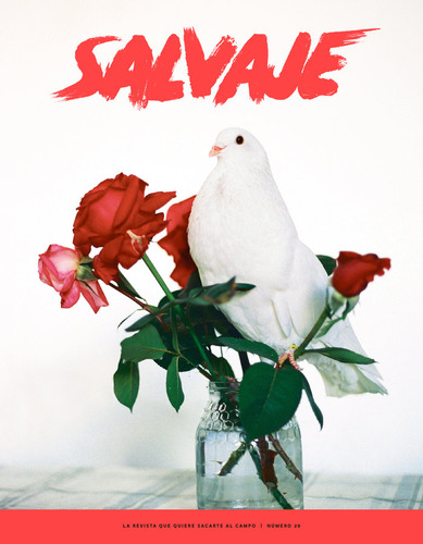 Libro Revista Salvaje 20 - Alvarez, Ayoze