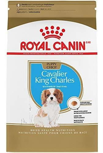 Royal Canin Cavalier King Charles Comida Seca Para Perros (3