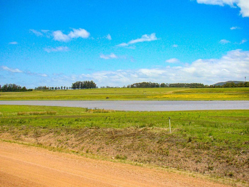 Imagen 2 de 9 de Terreno En Laguna De Los Cisnes, Punta Ballena - Laguna De Los Cisnes