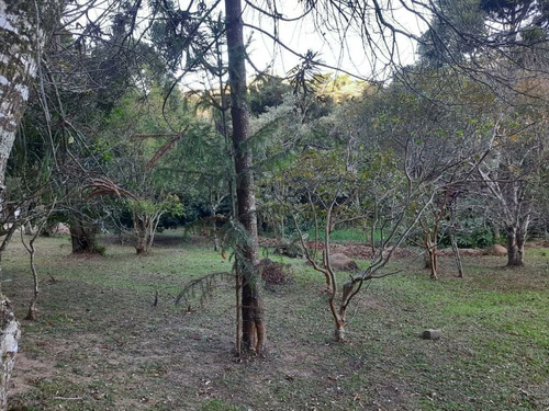 Imagem 8 de 20 de Fazenda À Venda Em Pinhalzinho/sp - 0044