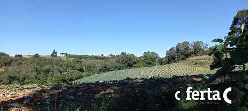 Imagem 5 de 15 de Terreno - Serrinha - Ref: 758 - V-758