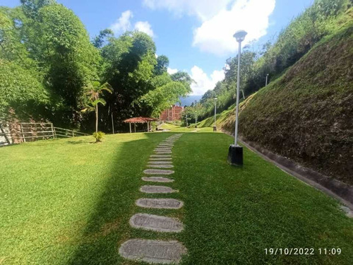 Imagen 4 de 11 de Vendo Apartamento 43m2 1h/1b/2p Miravila 2195
