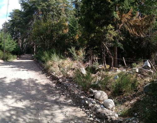 Terreno En Venta En Villa Traful Con Arboles Añejos