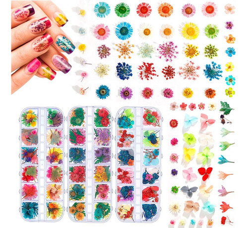 324 Piezas De Arte De Uñas De Flores Secas,81 Colores 