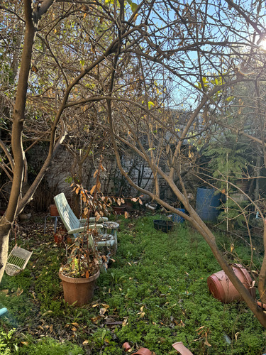 Venta De Casa En Sector Centro De Talca