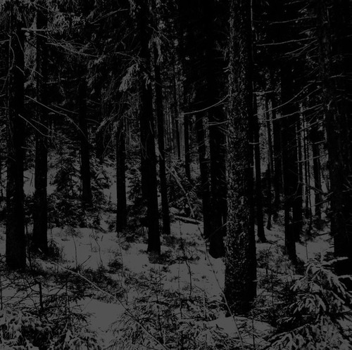 Moloch - Abstrakter Wald Cd Nuevo