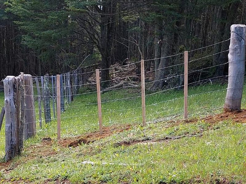 Parcela 1 Ha Con 80 Mt De Orilla De Lago Castor