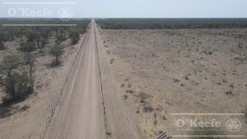 Campo En Venta 4100 Has.santiago Del Estero.apto Bonos Verde
