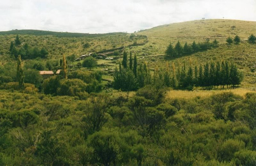 Imagen 14 de 22 de Traslasierra - Estancia Aguas Del Tala - Pueblo Ambul - Pampas Del Pocho - 383has Cercadas A La Venta En Una Zona De Crecimiento Constante - Mina Clavero - Cordoba