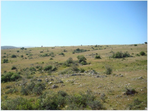 Campo En Venta En Lavalleja, 5 Hectáreas.