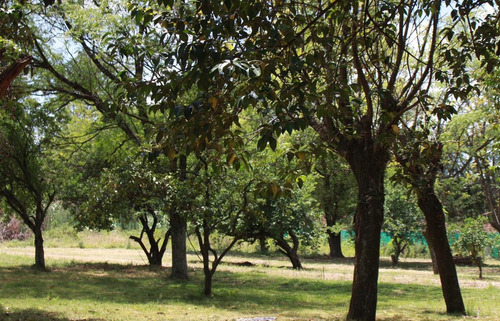Imagen 2 de 15 de Terreno - La Reja Chica