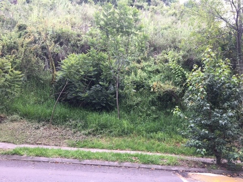 Imagen 4 de 7 de Bosque De Las Lomas. Excelente Ubicación Y Linda Vista