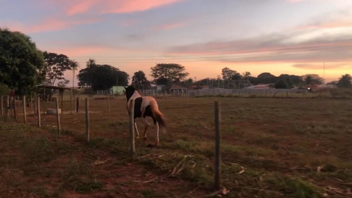 Chácara De 3.000m2 Próximo De Fernandópolis