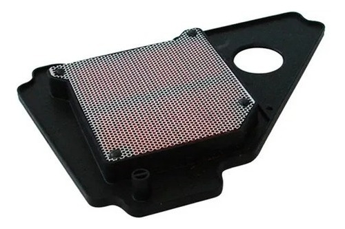 Filtro Aire Yamaha Ybr 125 Chino Factor Full Ed Rpm925