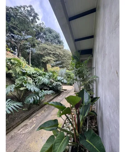 Casa En Arriendo En El Escobero