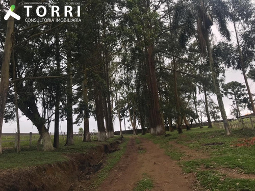 Imagem 7 de 30 de Lindo Haras Completo A Venda Em Piedade/sp - 1254 - 33115306