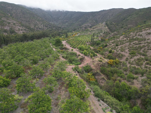 Parcela Agrícola Con Producción En Los Maquis
