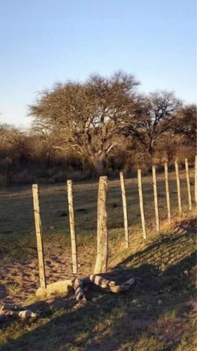 Imagen 3 de 12 de Vendo 10.000 Hectáreas Para Ganadería.