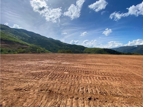 Lotes En Venta En Cisneros - Antioquia