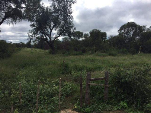 Imagen 17 de 18 de Venta Campo En Santiago Del Estero, Norte De Monte Quemado
