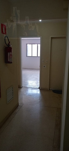 Imagem 8 de 19 de Apartamento Para Aluguel, 2 Dormitórios, Vila Monte Alegre - São Paulo - 10861