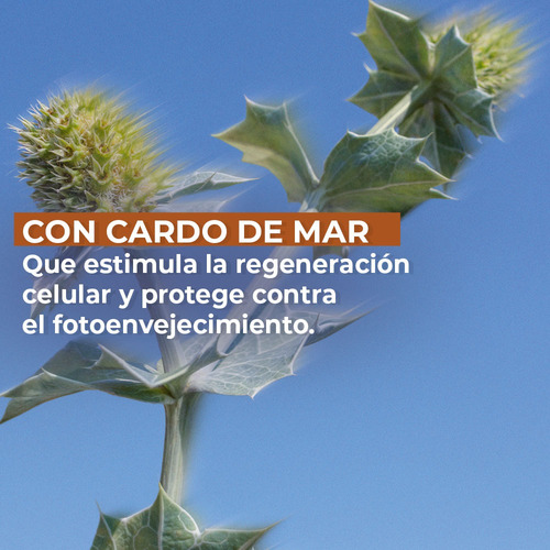 Yves Rocher - Protector Solar Atenuador De Arrugas Fps50