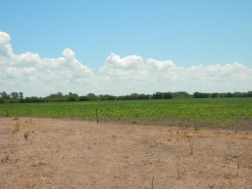 Estancia Isla Vizcaino 1569ha Ganadero Agricola Rio Negro Y Rio Uruguay