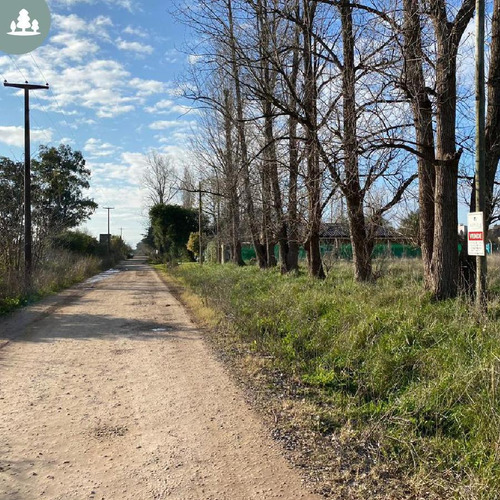 Venta - Ultimos 3 Lotes Barrio Ruralia