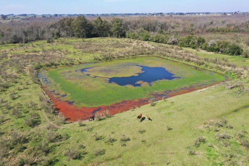 Planta Frigorifica Ex Proinco