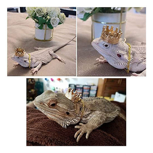 Kunbiuh Juego De 2 Collares Con Corona De Lagarto, Traje De