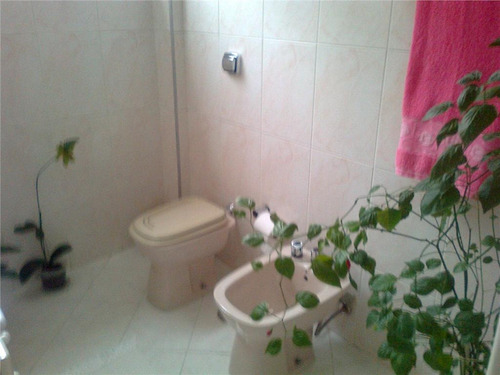 Imagem 15 de 25 de Apartamento Residencial À Venda, Tatuapé, São Paulo. - Ap0913