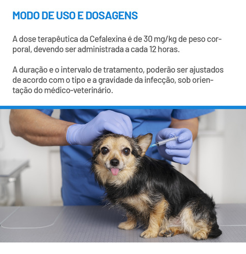 Celesporin Antibiótico 600mg Cartela Com 10 Comprimidos Cães