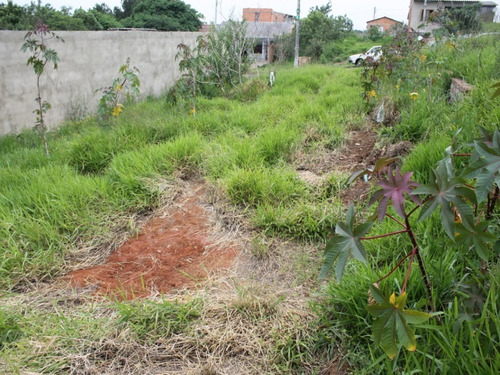 Imagem 10 de 10 de Terreno - Te00024 - 68718693