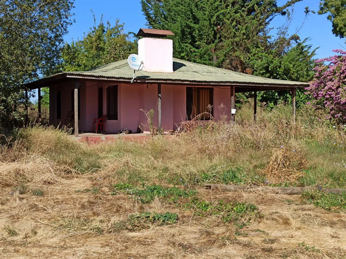Terreno Agrícola En Venta, Campo De 60 Ha, Teno