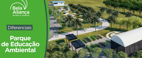 Imagem 13 de 14 de Terrenos De 250m²