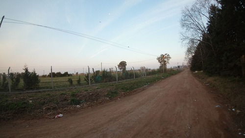 Imagen 2 de 6 de Terreno En Venta En Carlos Spegazzini