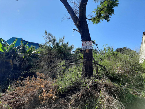 Imagem 14 de 14 de Lote / Terreno Em Residencial Cândido Queiroz - Aparecida De Goiânia - 8361