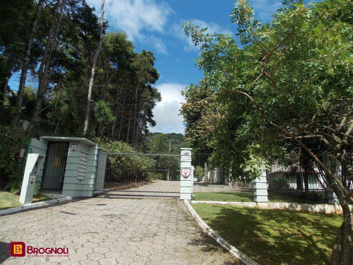 Imagem 1 de 15 de Casa Residencial - Itacorubi - Ref: 36976 - V-c6-36976