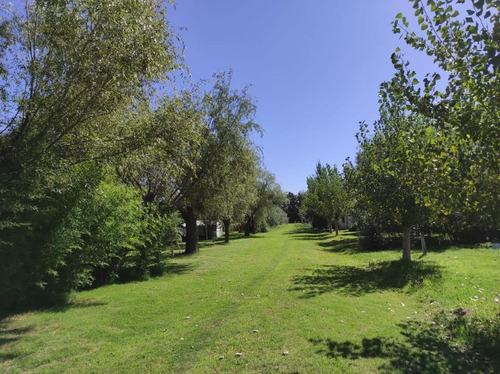 Venta. Quinta En Funes. 32.000 M2. Recomendamos