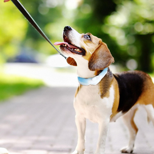 Collar De Hielo Para Perros Banda Refrescante Para El Cuello