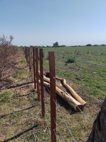 Imagen 9 de 11 de Campo - Talitas Gualeguaychu