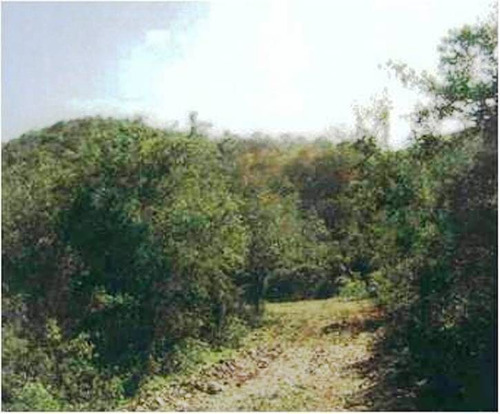 Lote De Terreno Rústico. Predio Rustico, Cruillas, Tamaulipas.
