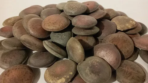 comprar Haba De San Ignacio 500 Gr De Semillas Enteras