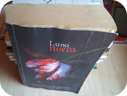 Luna Nueva Stephenie Meyer (Usado)